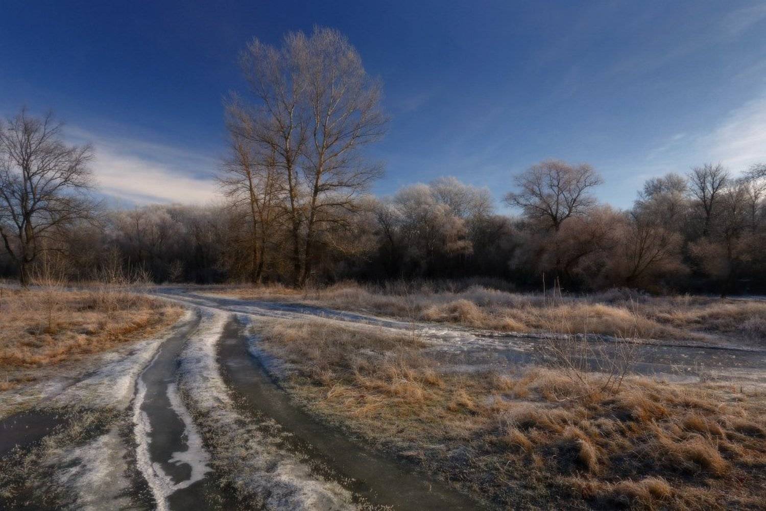 зима мороз декабрь иней, Петриченко Валерий