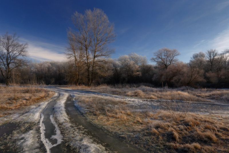зима мороз декабрь иней *** фото превью