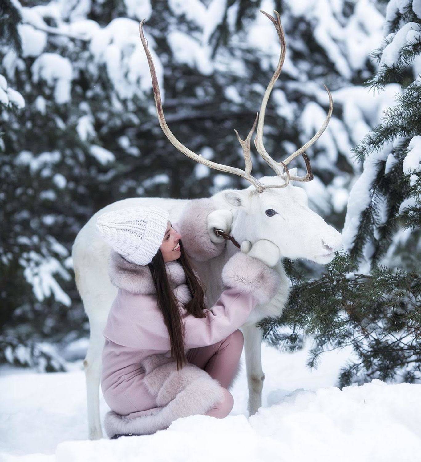 девушка, олень, встреча, красота,сказка,дружба,зима,природа, эмоции, girl, beautiful, reindeer, story, emotions, nature, Юлия Стукалова
