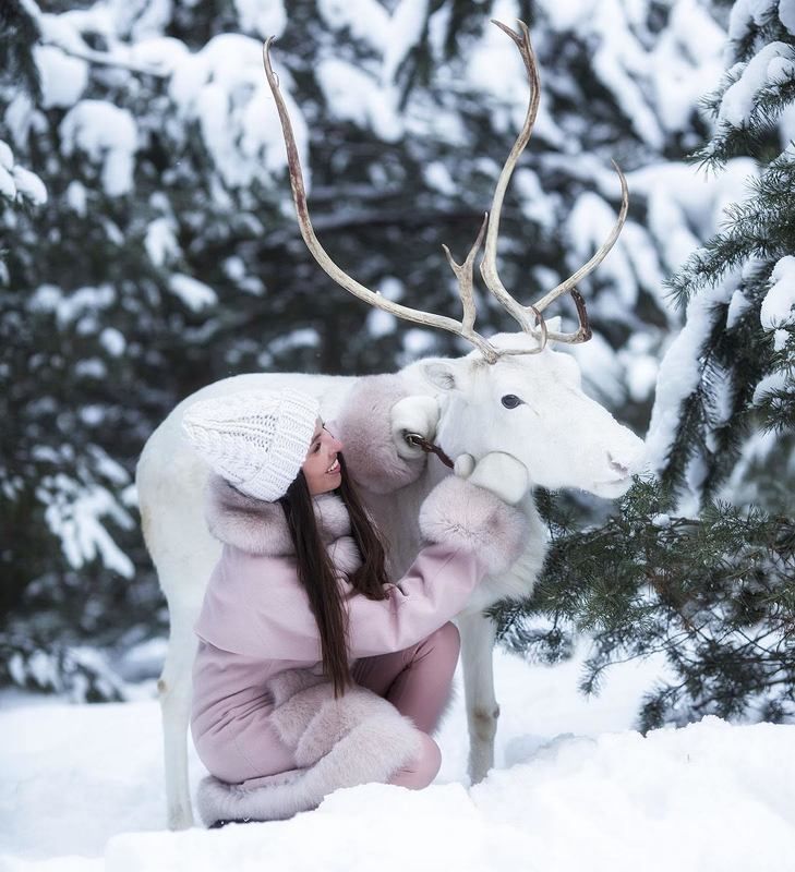 девушка, олень, встреча, красота,сказка,дружба,зима,природа, эмоции, girl, beautiful, reindeer, story, emotions, nature Волшебная встреча фото превью