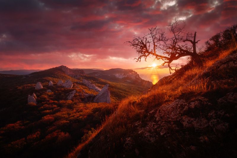 крым, храм солнца, рассвет, crimea, dawn Драконий рассвет фото превью