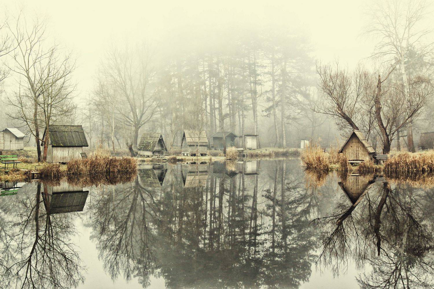 , Adrian Eperjessy