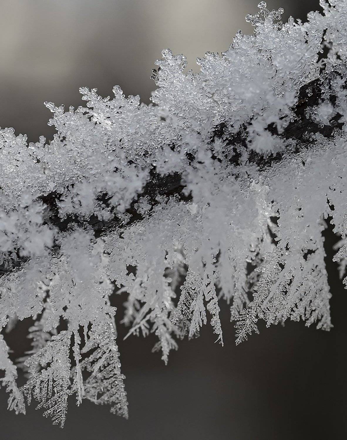 , Сергей Духанин