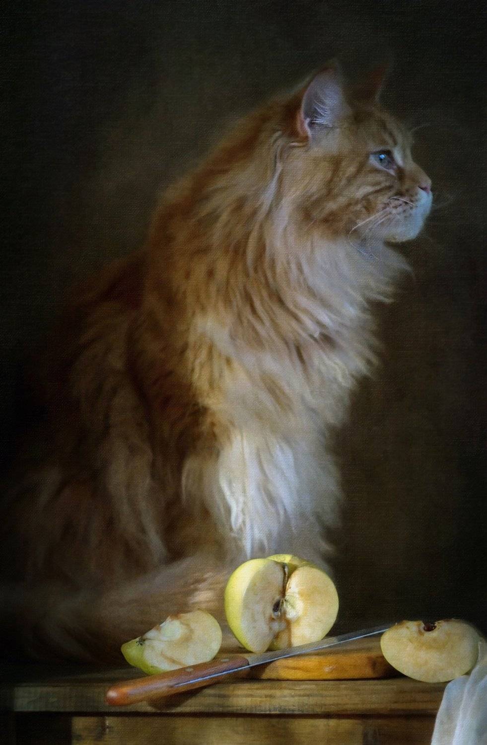 лепушка (осталась память), Светлана Сушкевич