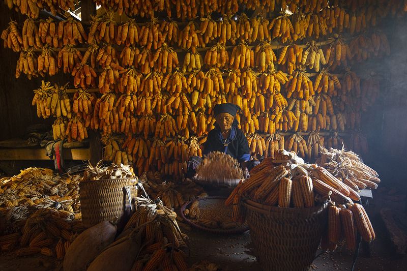 Home Alone фото превью