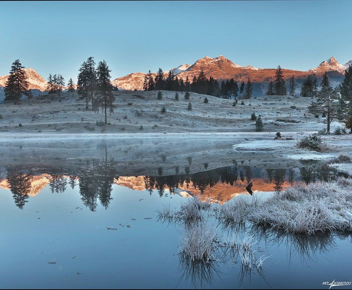 swiss, Матвеев Николай
