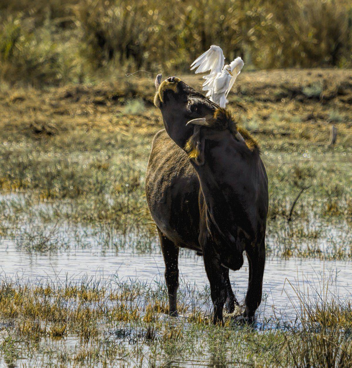 , Sławek Przybylski