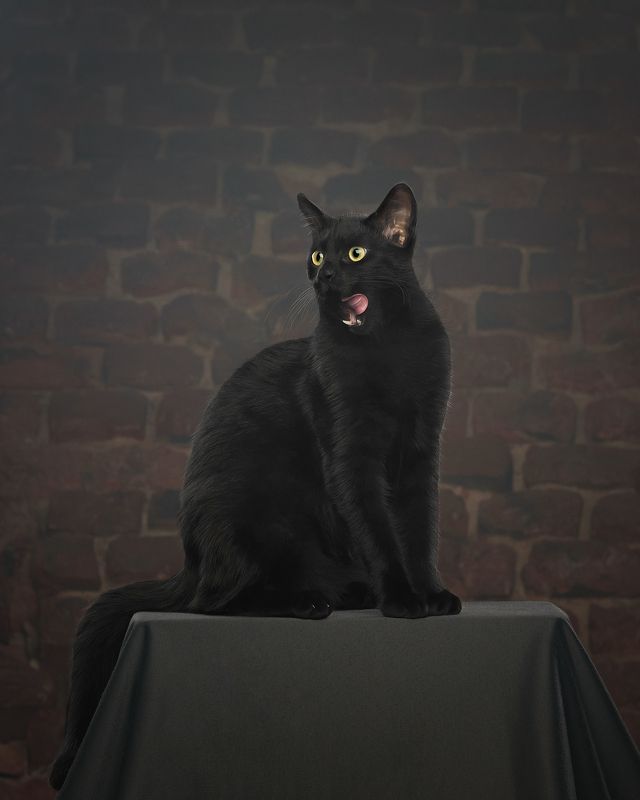 *** фото превью