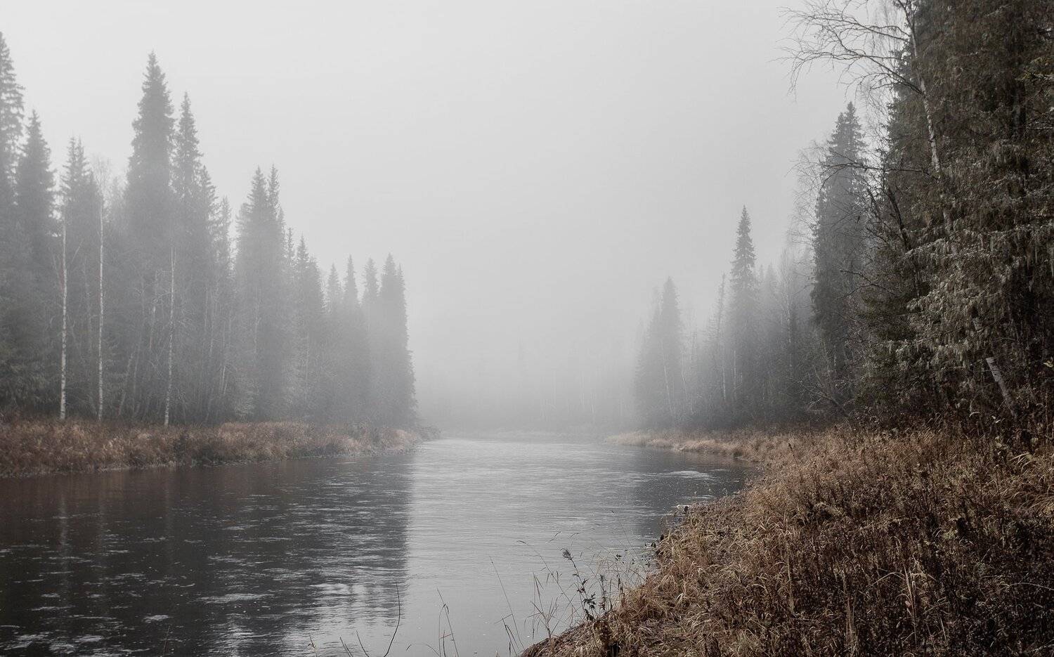 , Федотов Сергей