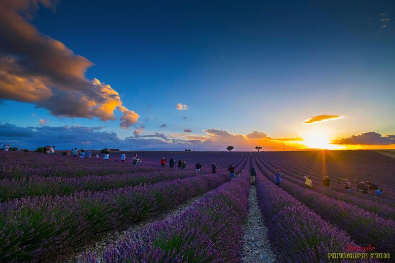 MVD фото превью