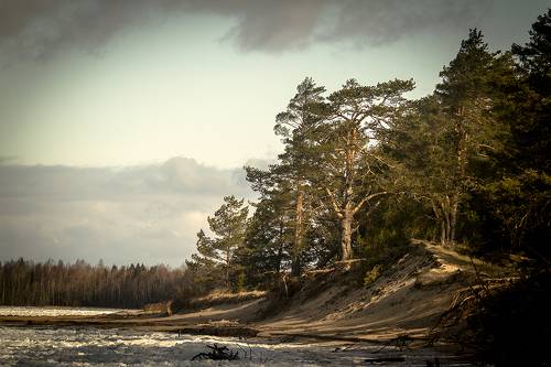 Ладога. Май