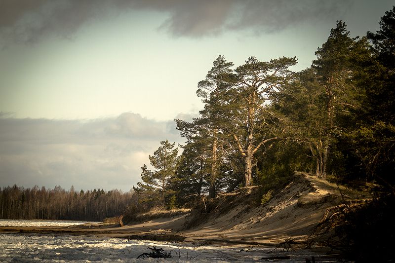 Ладога Ладога. Май фото превью