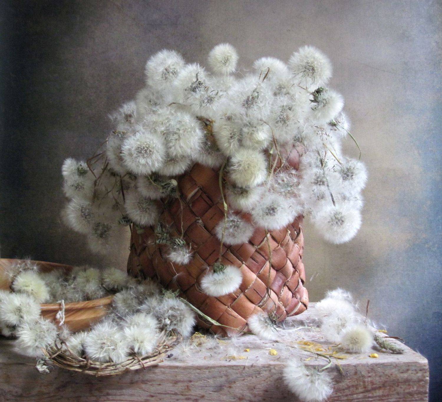 цветы, букет, одуванчики, венок, туес, винтаж, Наталия Тихомирова