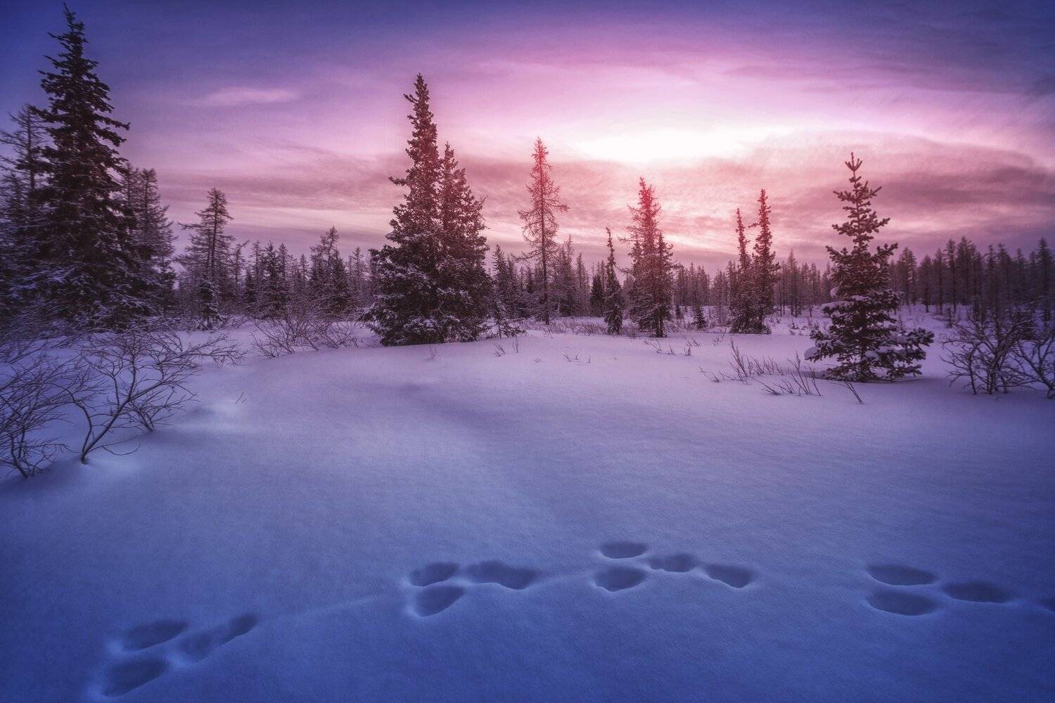 озеро, горы, лес, природа, закат, рассвет, красота, приключения, путешествие, облака, Шевченко Николай