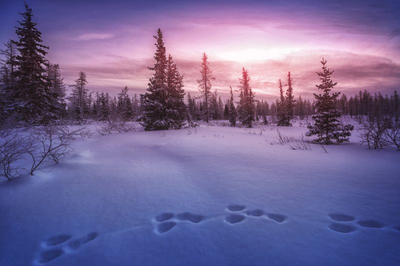 Закаты Сибири фото превью