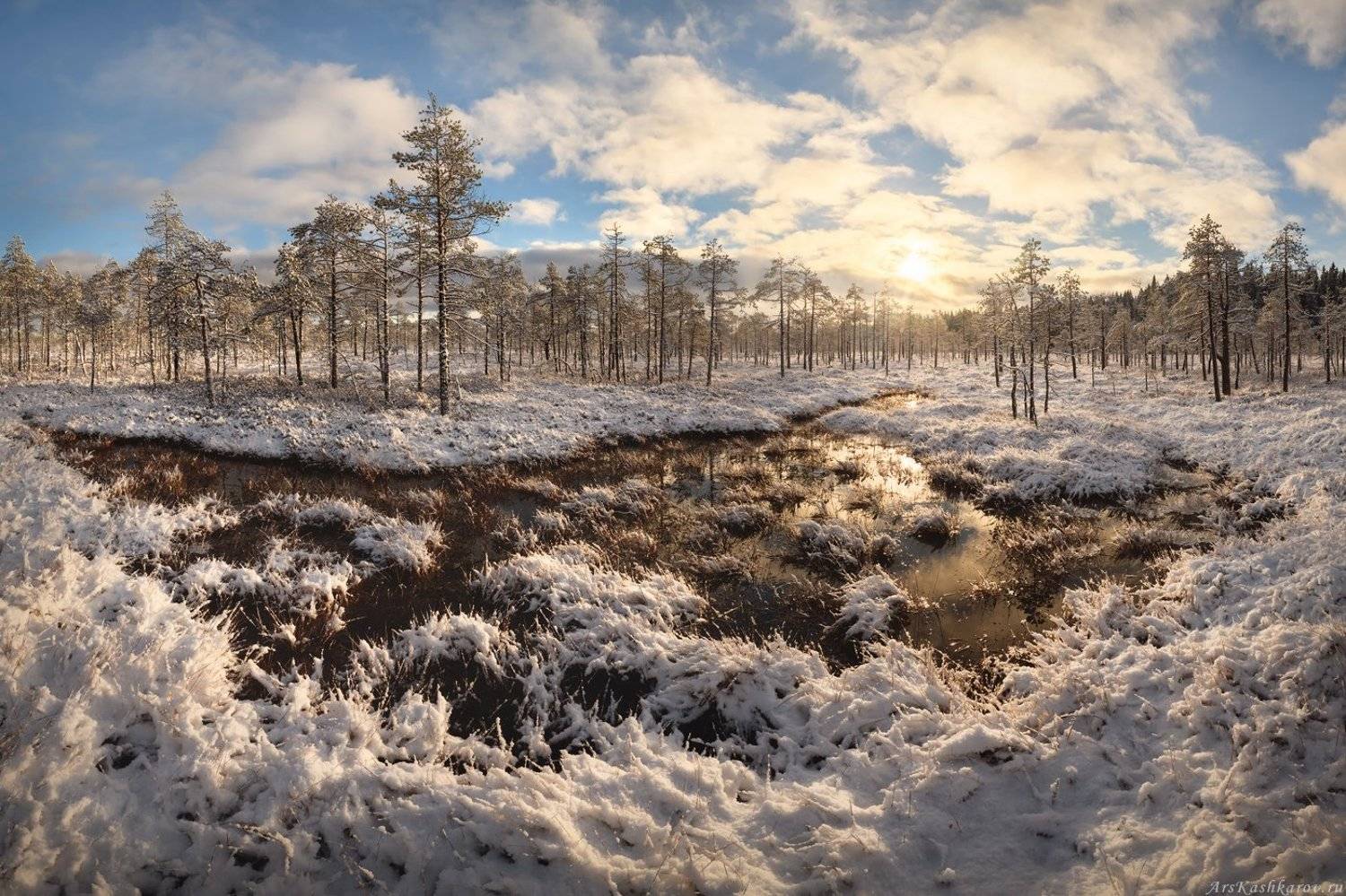 болото, ленобласть, фототур, зимний пейзаж, ленинградская область, первый снег, Арсений Кашкаров