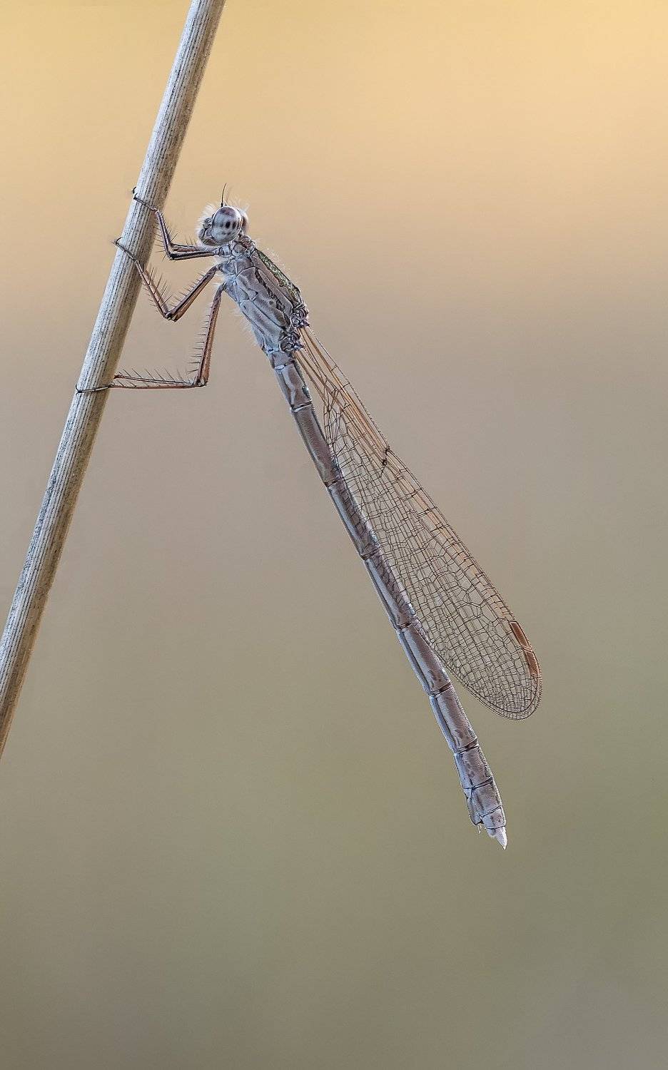 , Сергей Троицкий