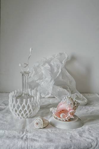 Про ракушки и пакеты