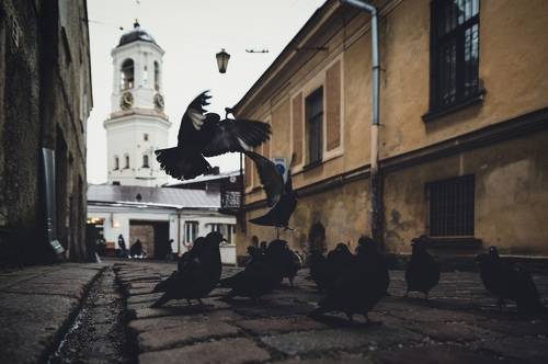 Vyborg.