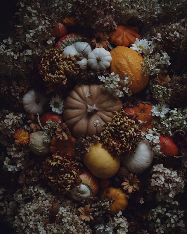 осень, флетлей, цветы, тыквы Осенние зарисовки фото превью