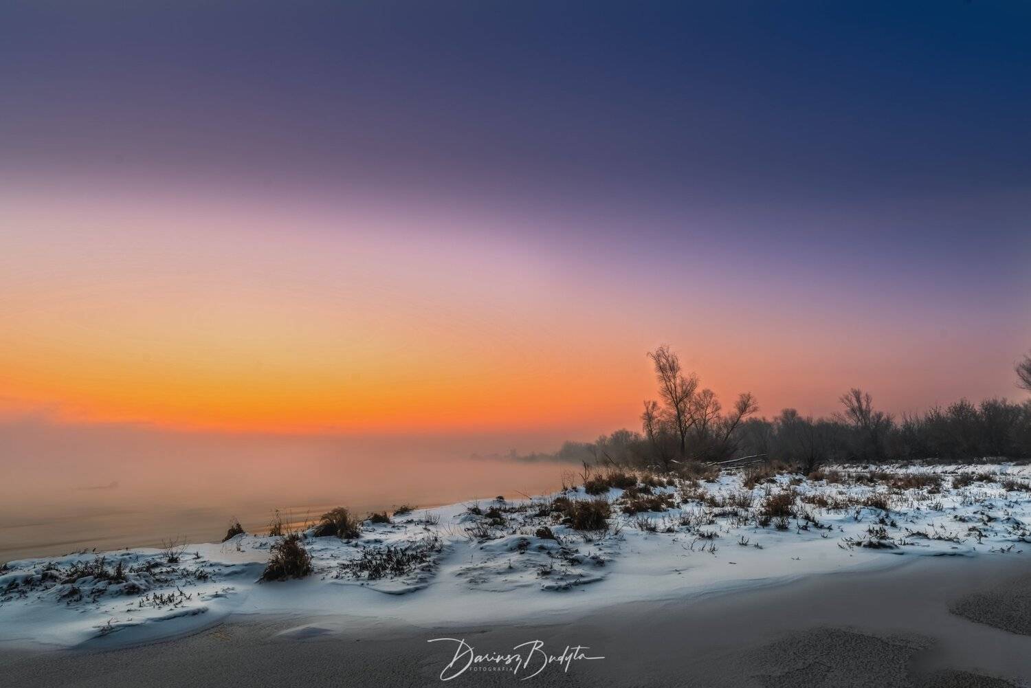 , Dariusz Budyta