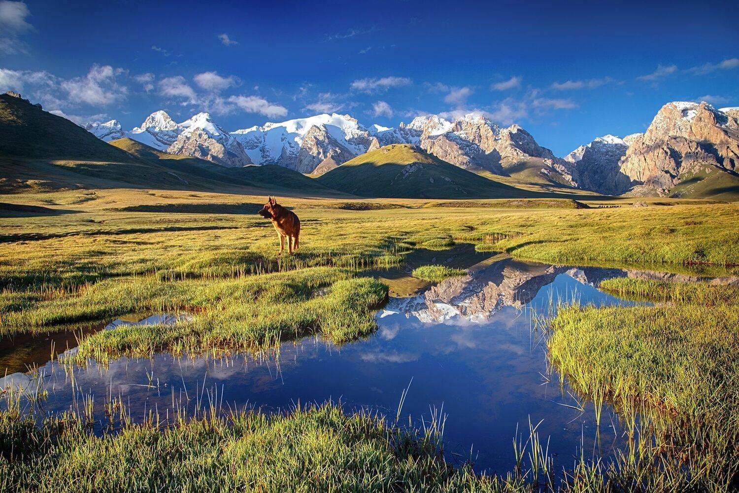 кыргызстан, горы, Элина Магалимова