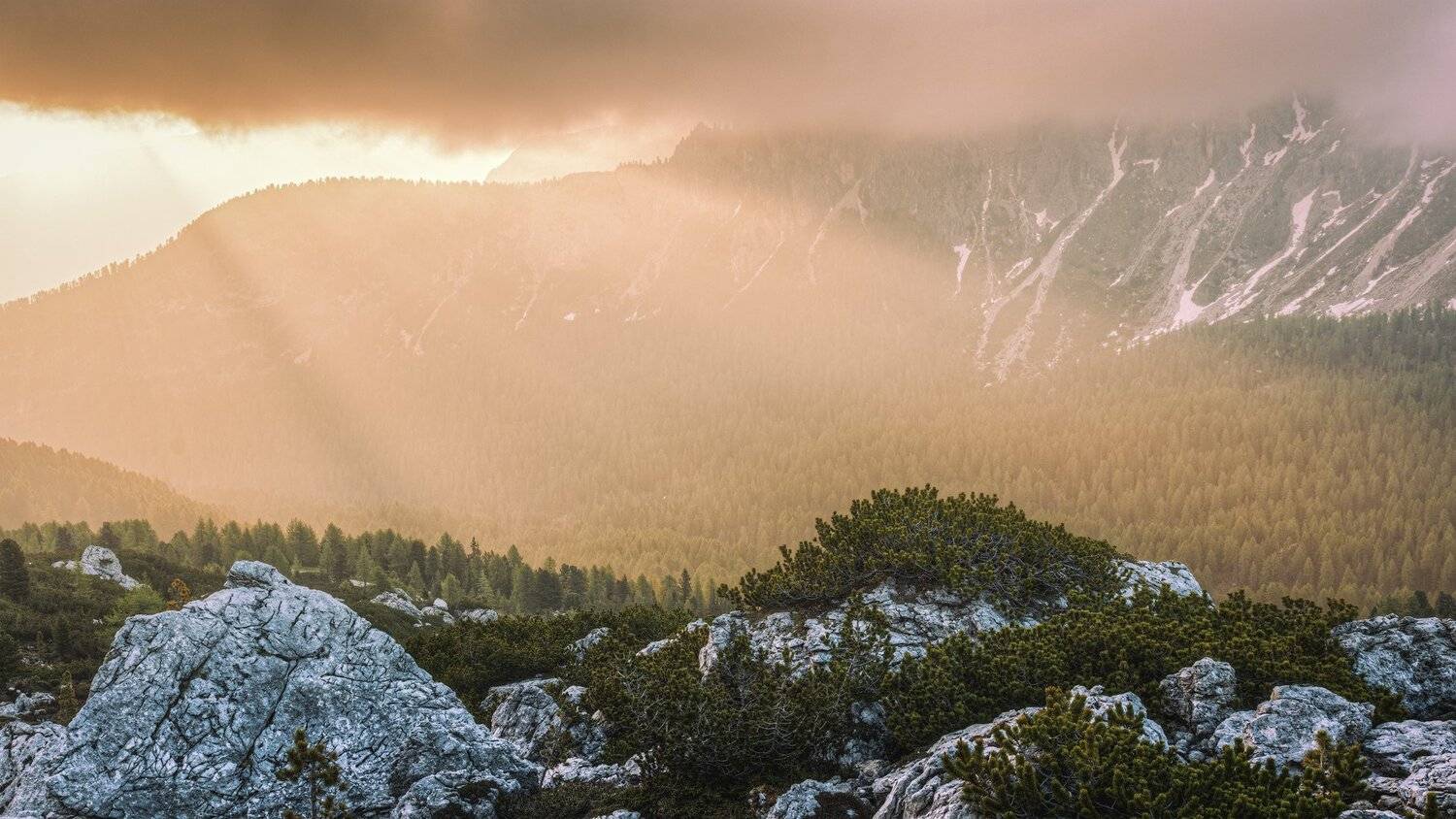 , Сергей Быков