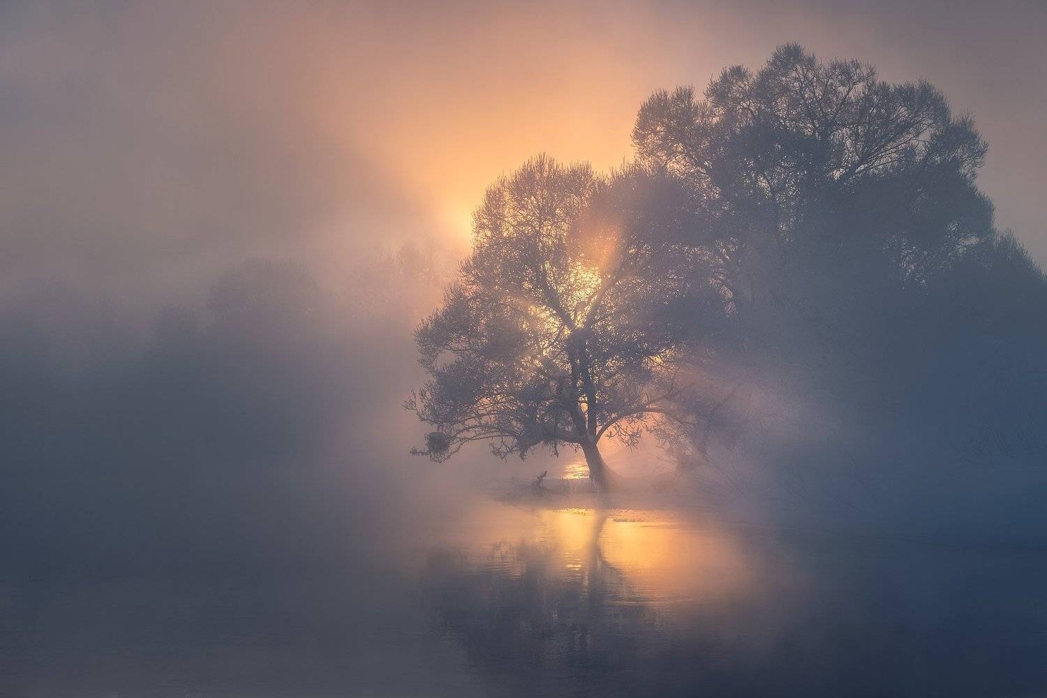 , Сергей Давыдов