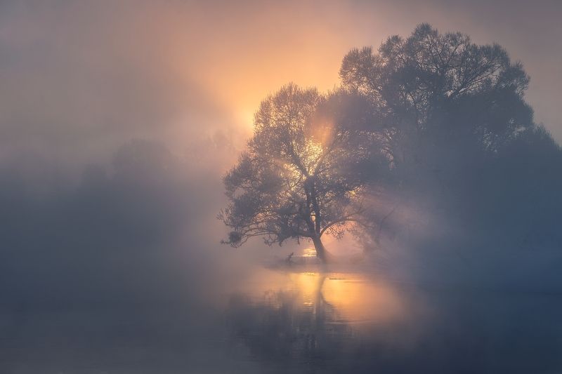 Да будет свет фото превью