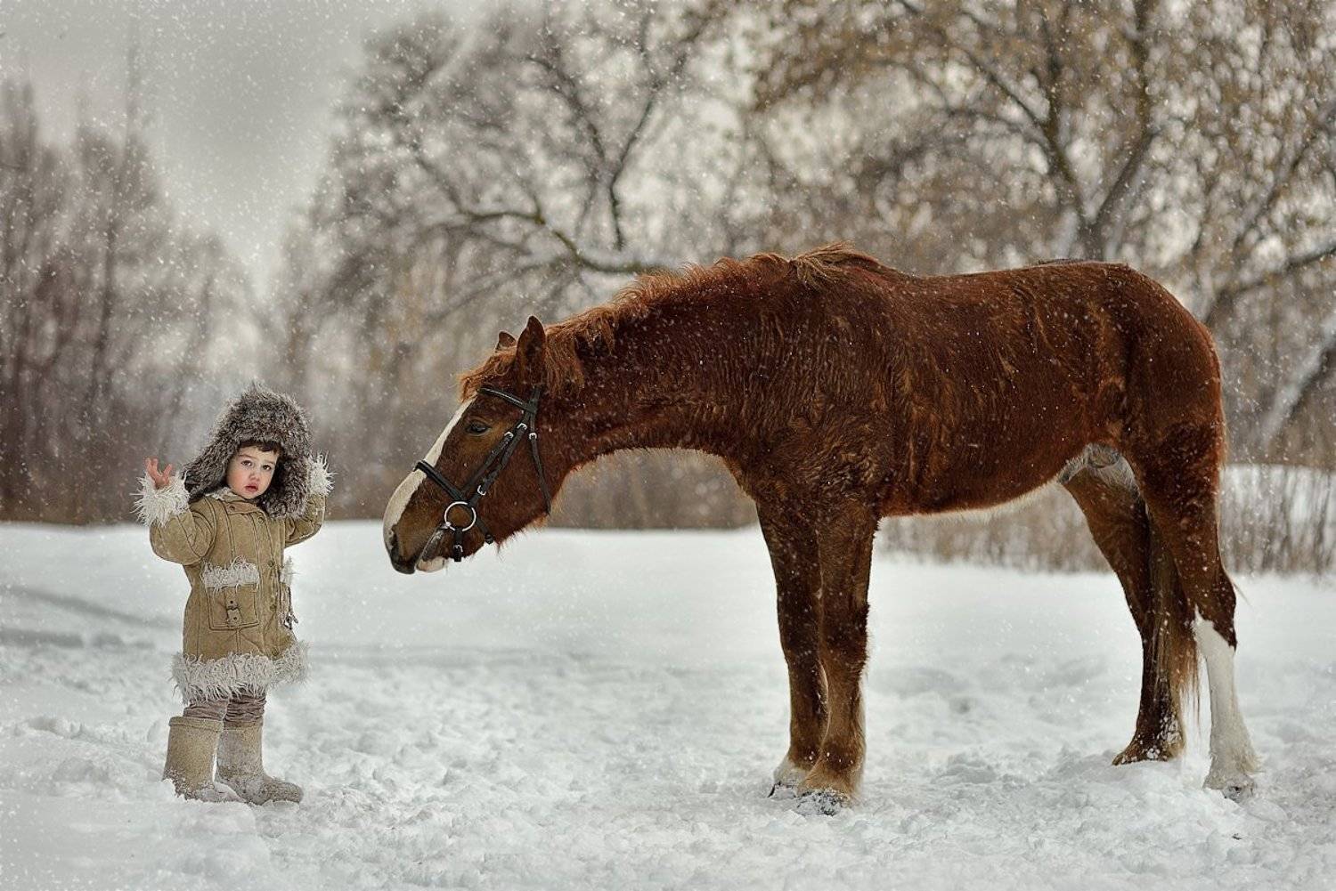 , Раевская Елена