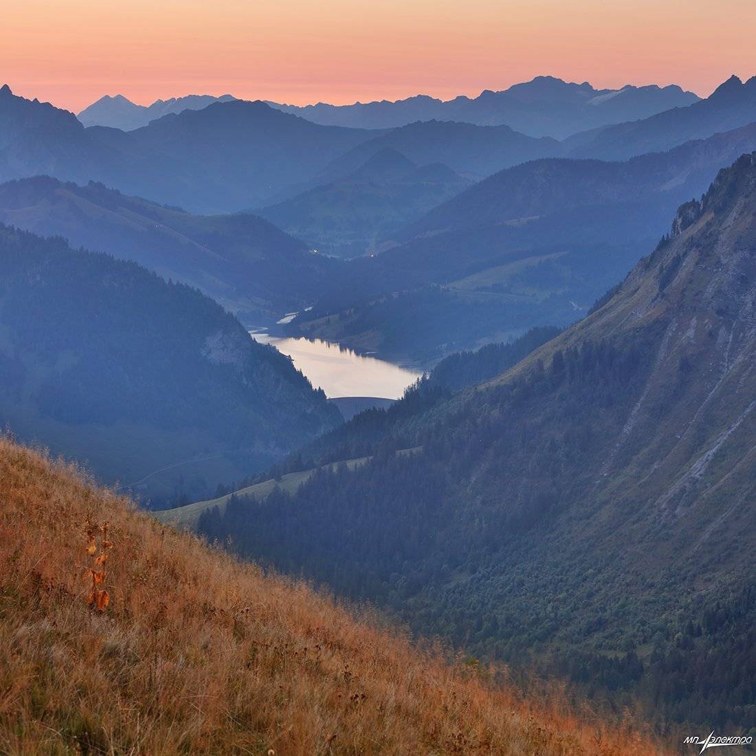 swiss, Матвеев Николай