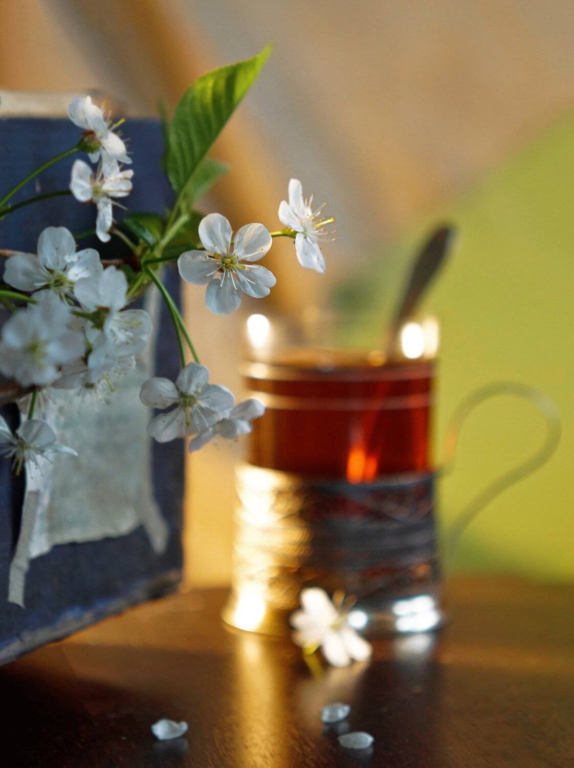 , Светлана Сушкевич