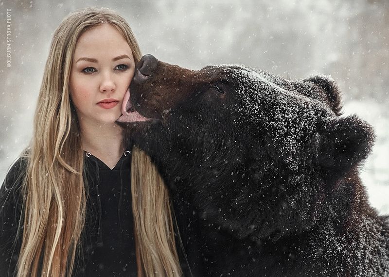 Bear Kiss фото превью