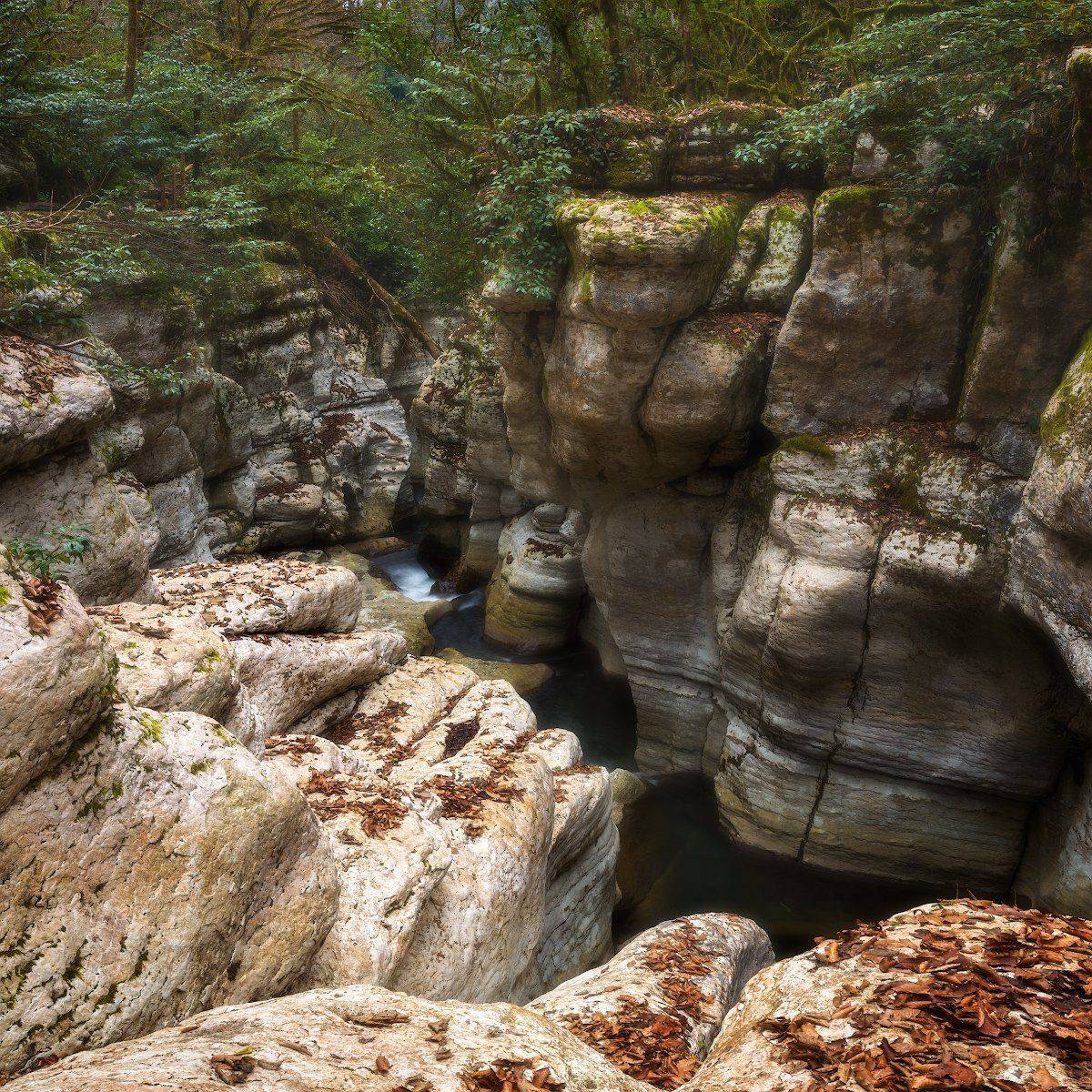 хоста, навалищенское, краснодарский, край, Алексей Марголин