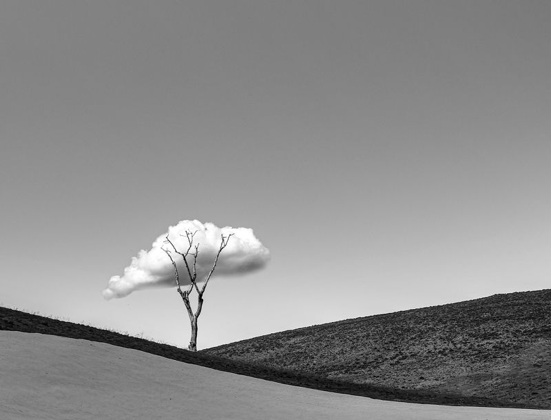 sky, cloud, tree, alone, snow Alone фото превью