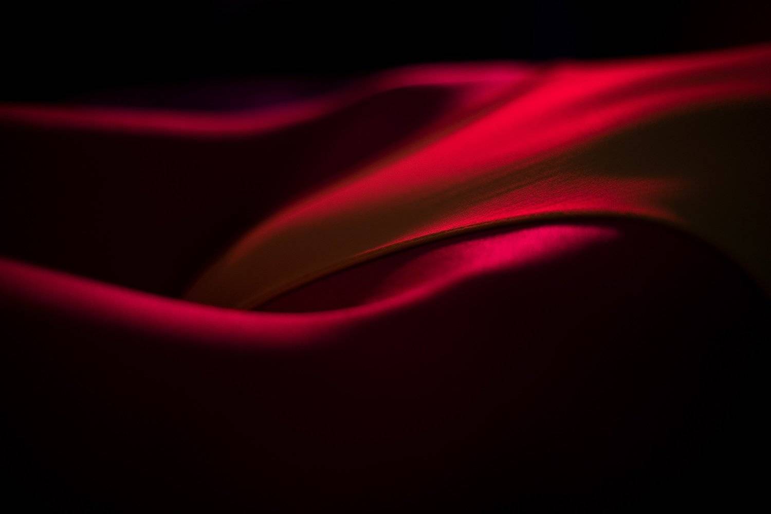 d850, nikon, girl, 50mm, poland, preety, awsome, beauty, portrait, cat, sexy, красота, женщина, девушка, gorgeous creature,  @tom.koz.photo