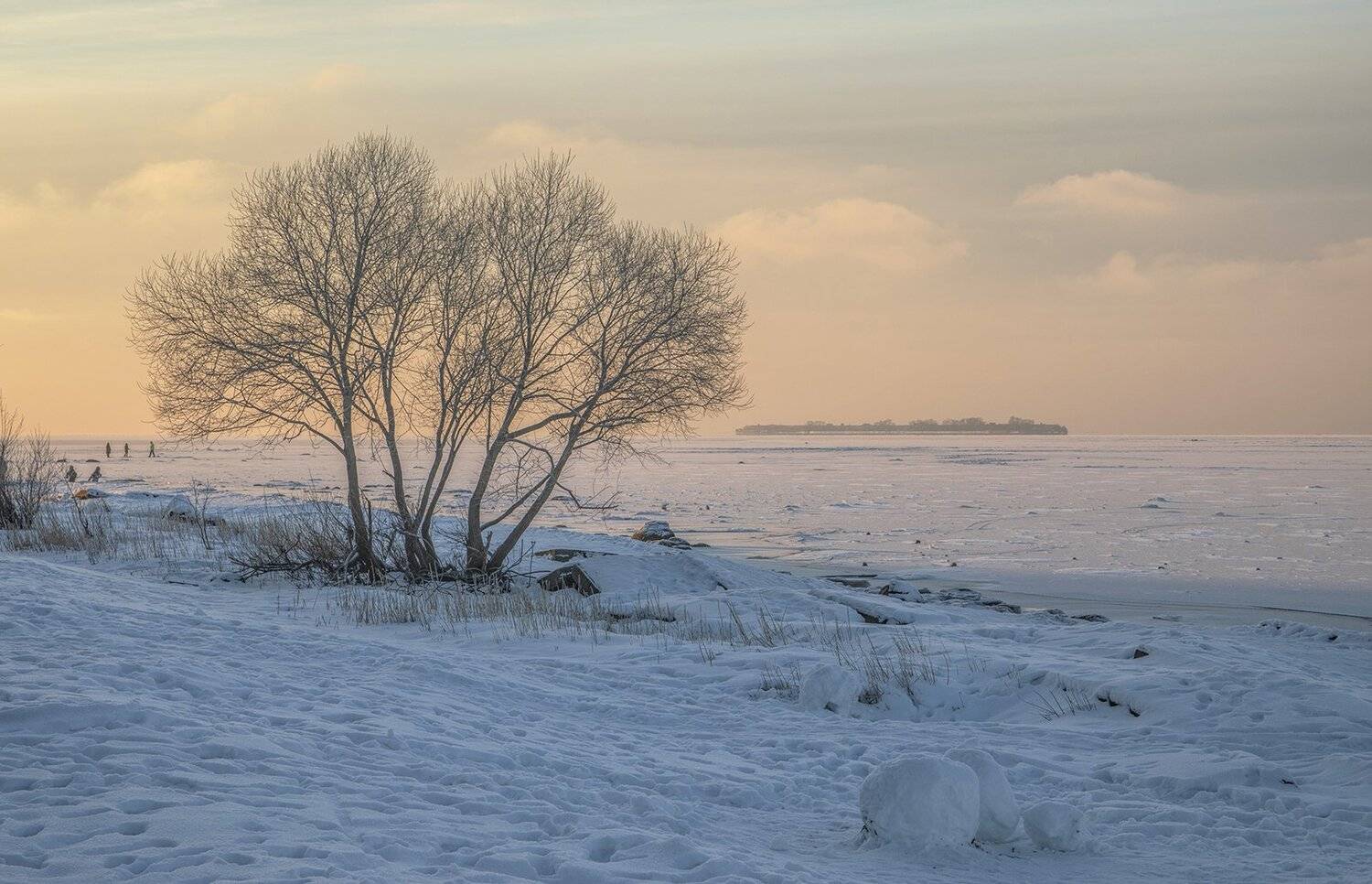 сестрорецк, парк дубки,зима, alexOmRam