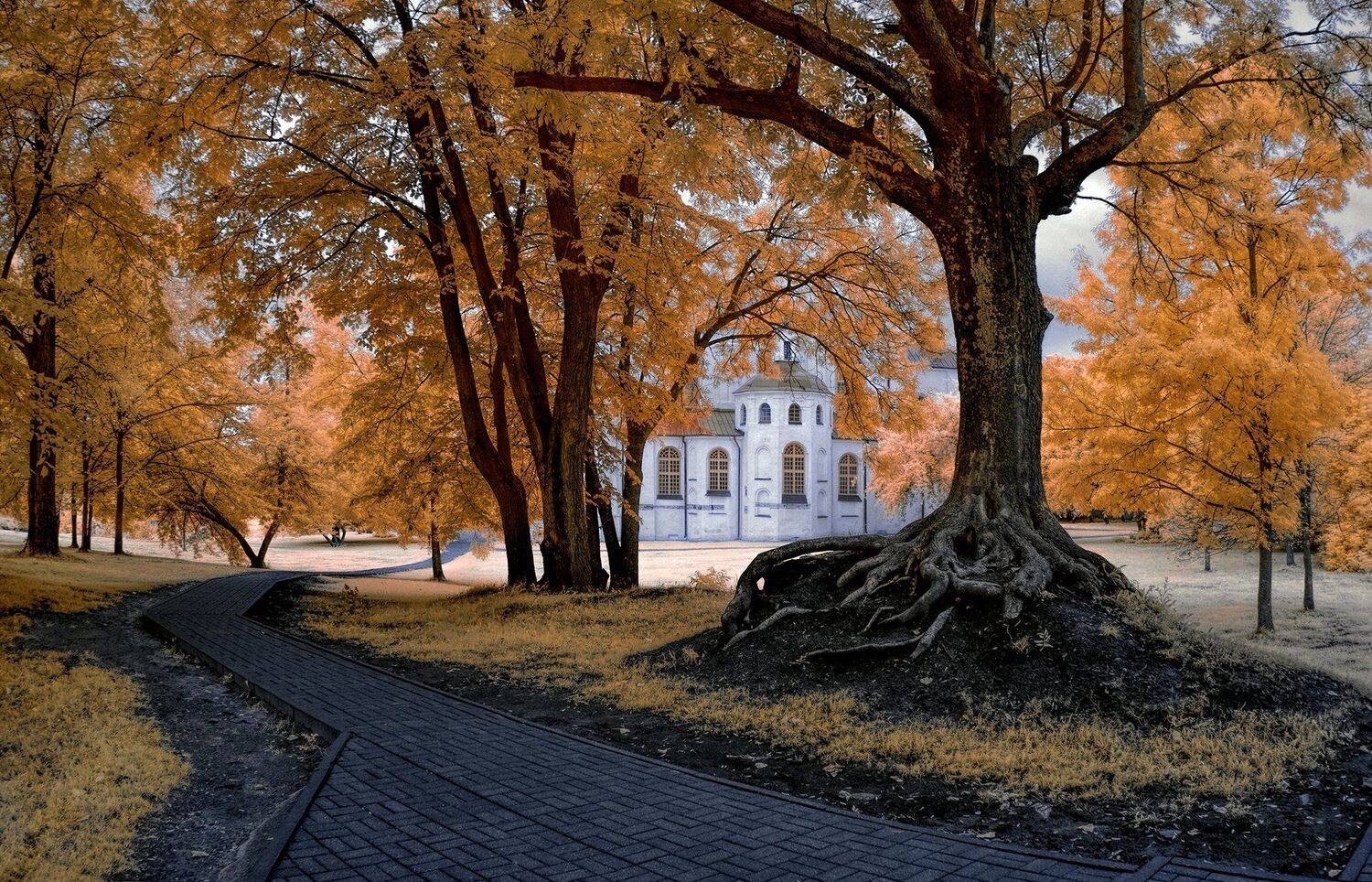 infrared,ик-фото,инфракрасное фото, инфракрасная фотография, пейзаж, лето, Sixten ( Сергей )