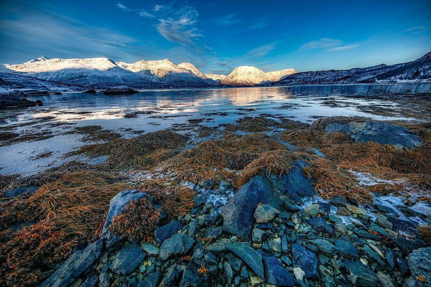 , Тодор Божков