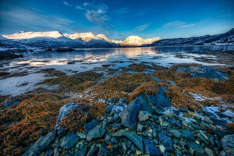 Nowhere фото превью