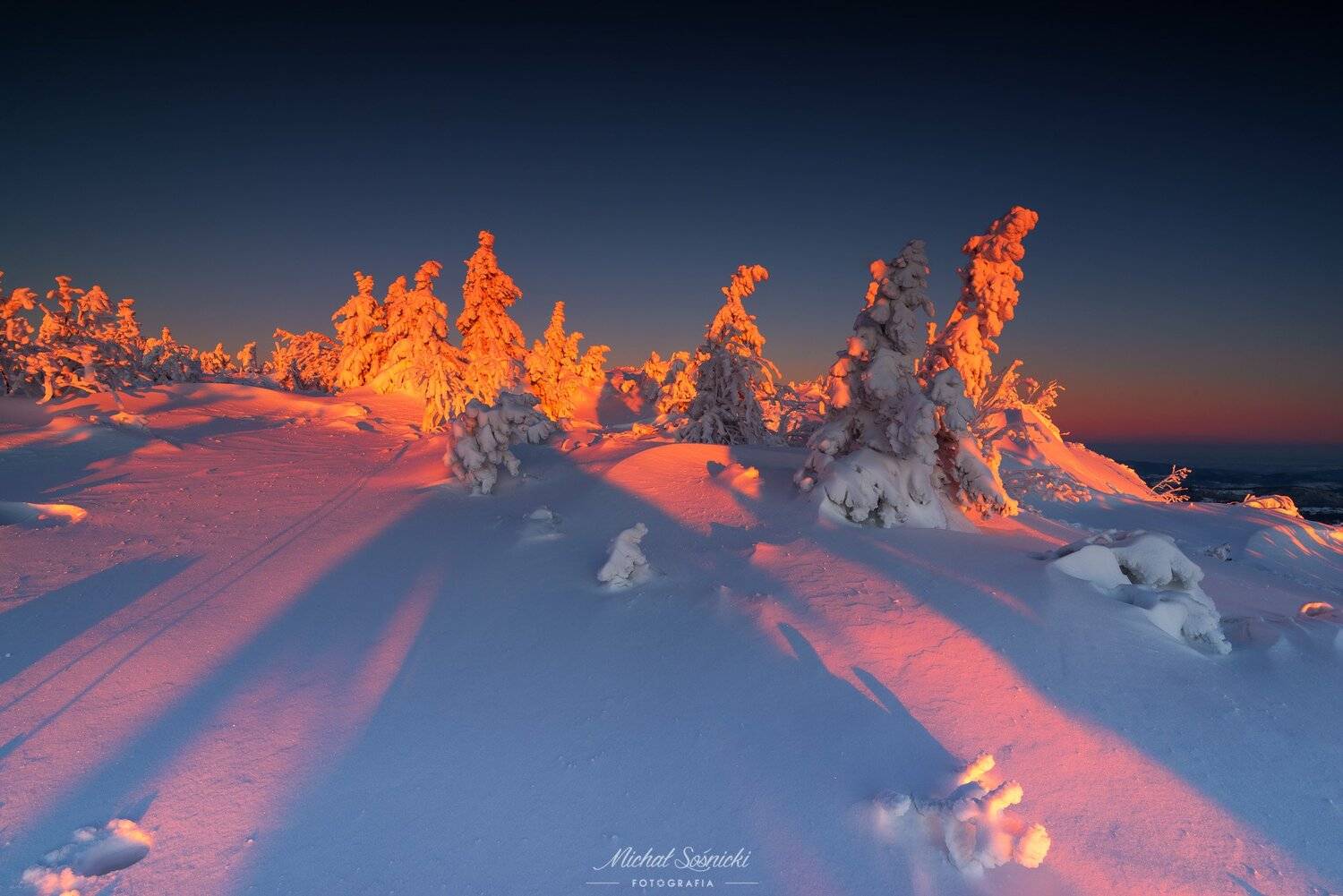 #snow #sunrise #trees #tree #winter #poland #mountains #cold #colors #benro #benq #pentax, Michał Sośnicki