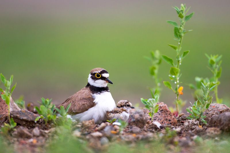 The birth of a child фото превью