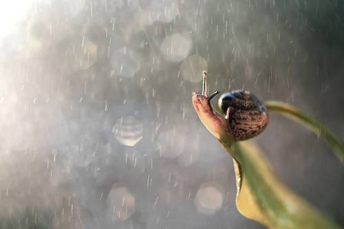 С улыбкой по жизни