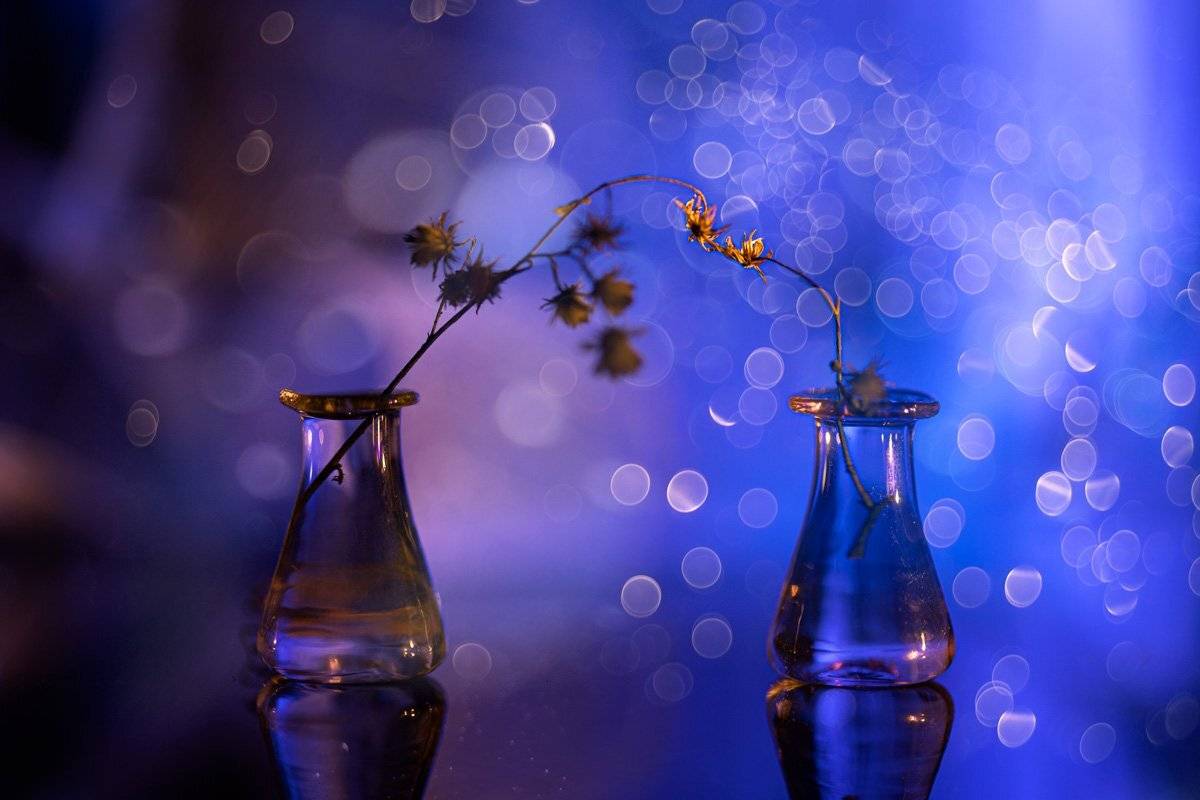 close-up, Игорь Копцев