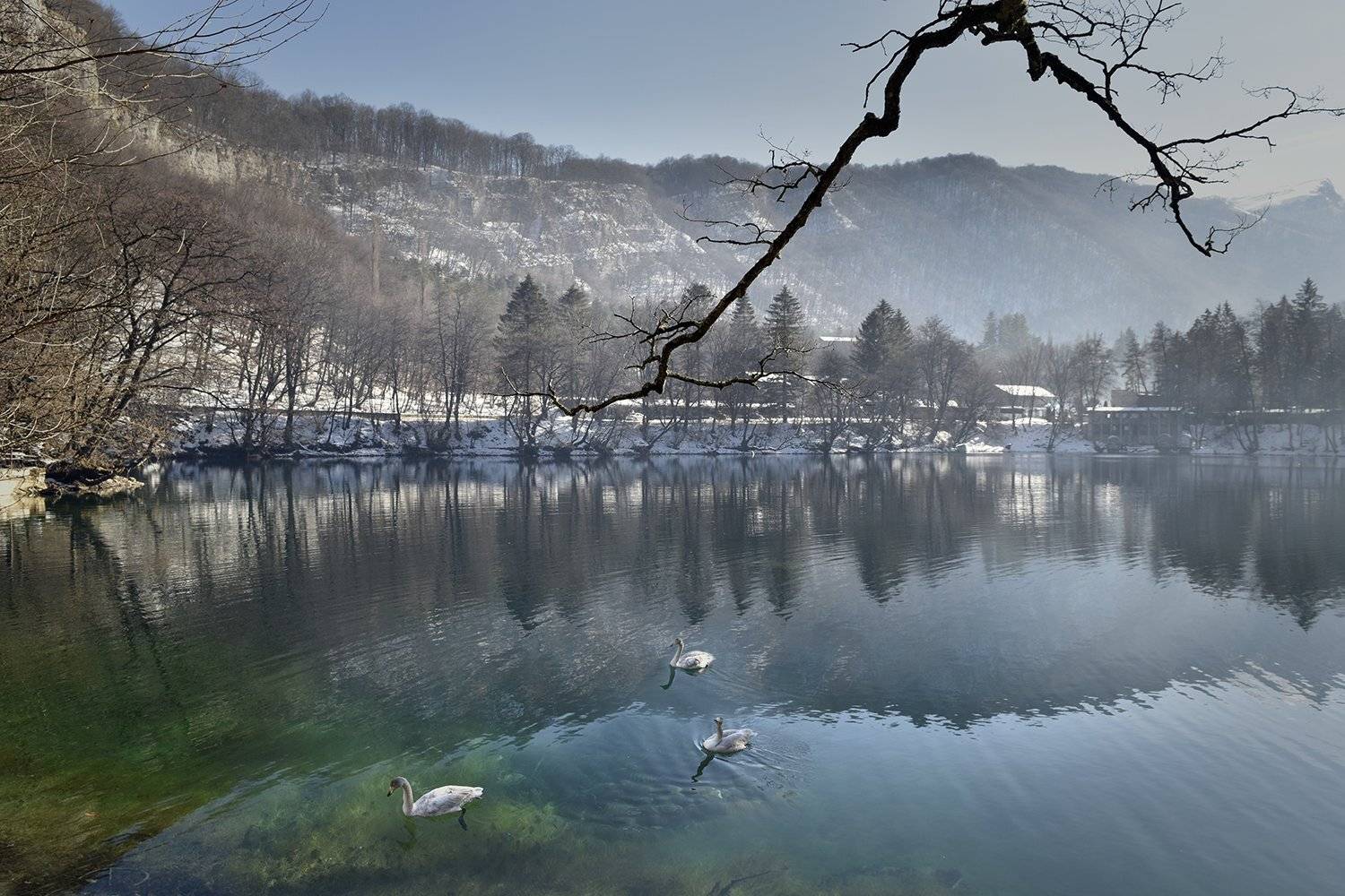 , Шипунова Ирина