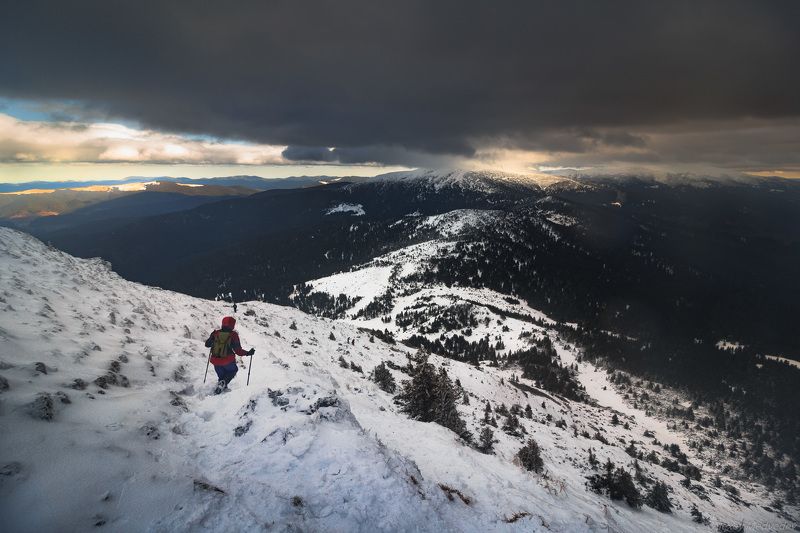 Карпаты, Украина На вечерних склонах фото превью