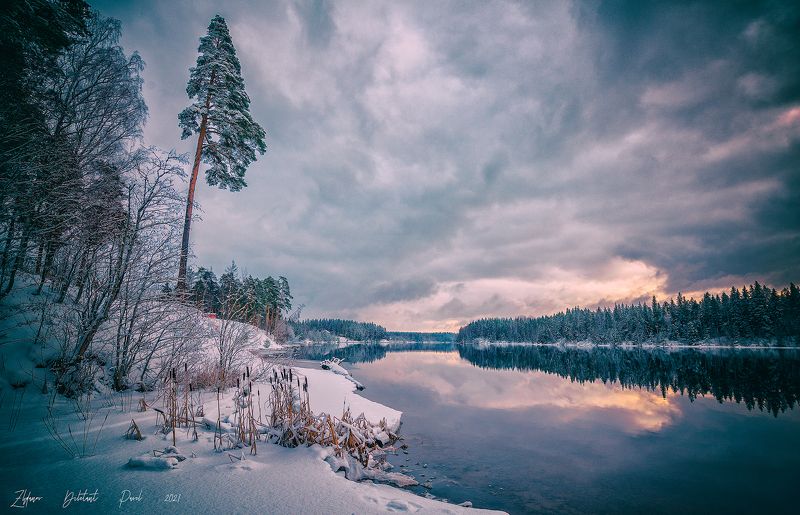 ленинградская область_выборгский район_река вуокса_зима_январь_морозец_солнце Зима фото превью