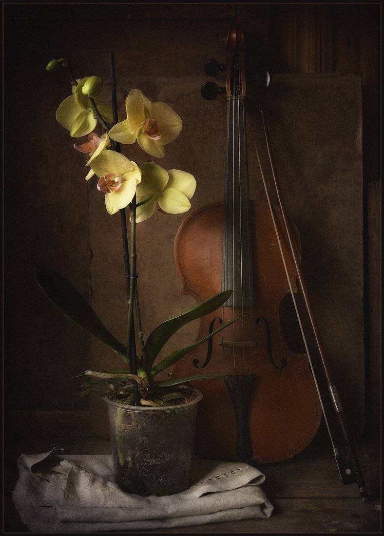 , Александр Хромеев