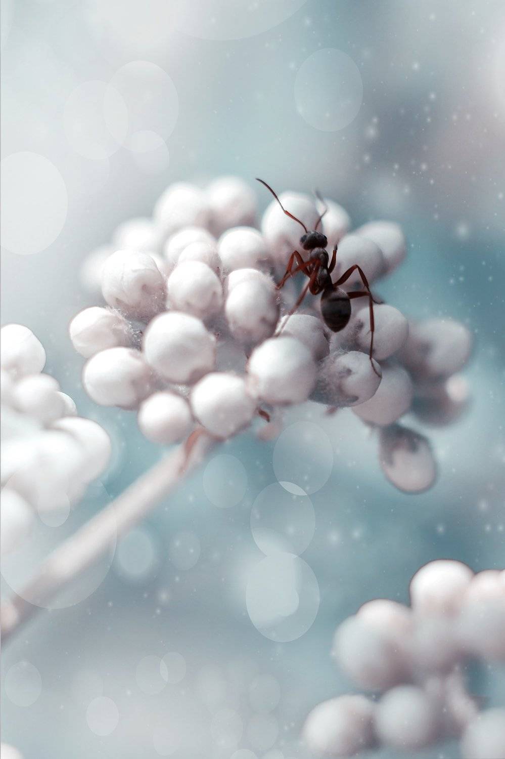 , Воинкова Ирина