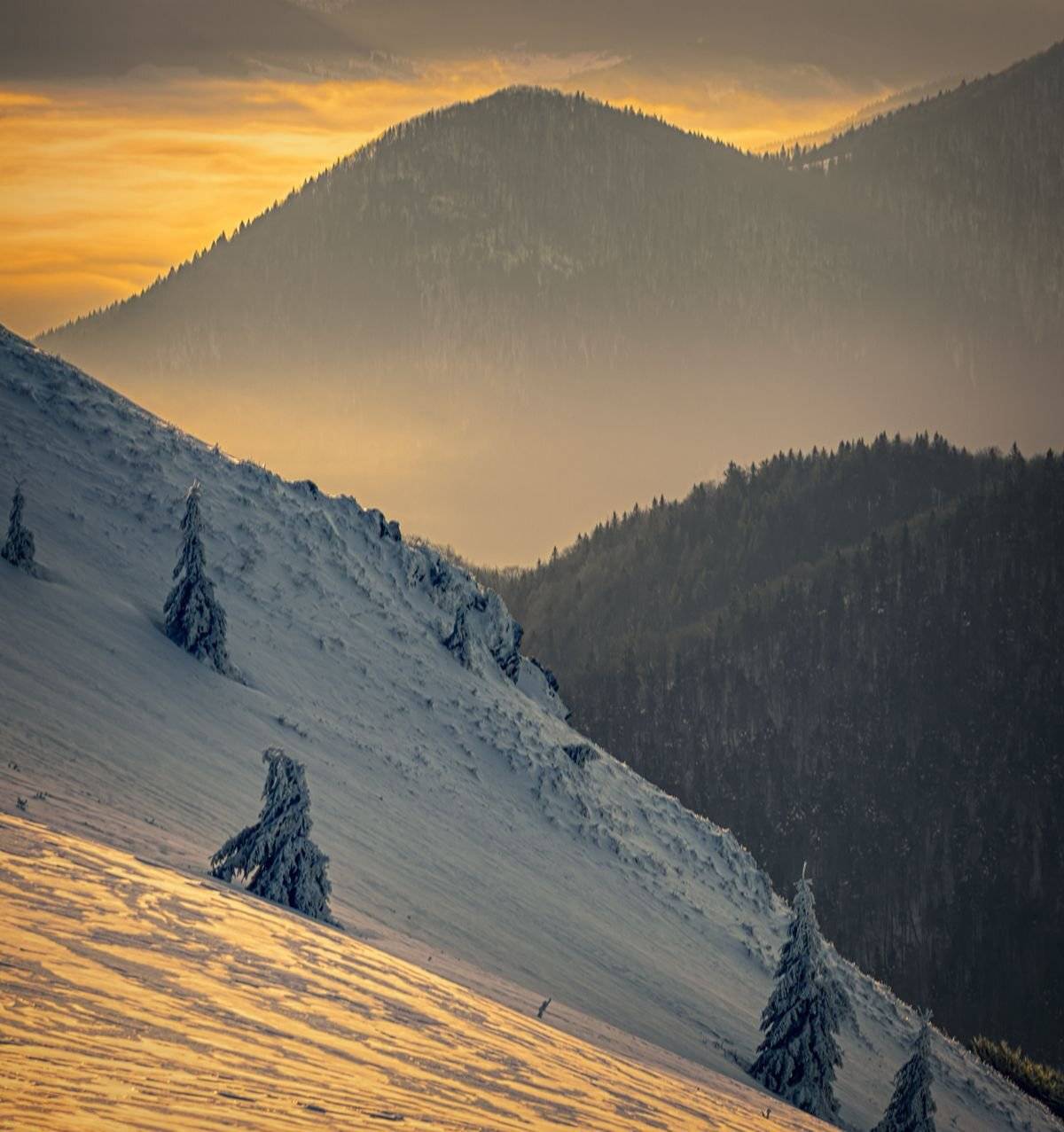 , Sławek Przybylski